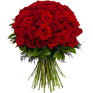 51 red roses | Flower Delivery Khimki